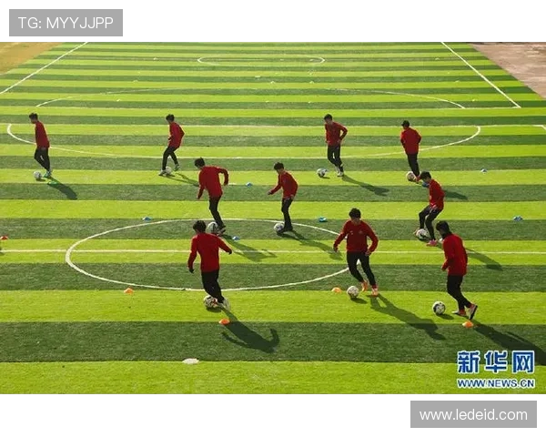 绿茵争锋群星闪耀追梦赛场尽显足球激情与荣耀