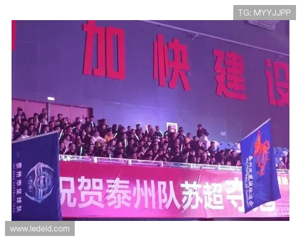 全力以赴挑战极限，赛事背后的拼搏与荣耀