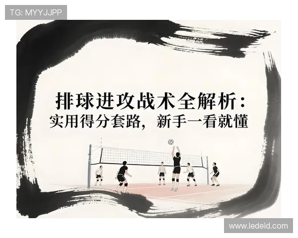 上海排球队快攻战术解析与深度剖析排球竞技的魅力与挑战