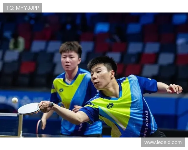 乒乓球战术排行榜揭晓上海乒乓球队荣登第五名位置