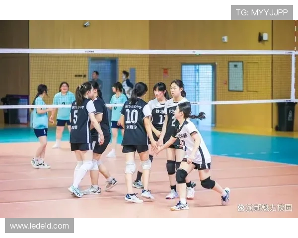 南京排球队力压群雄荣登全国排球力量排行榜第二名