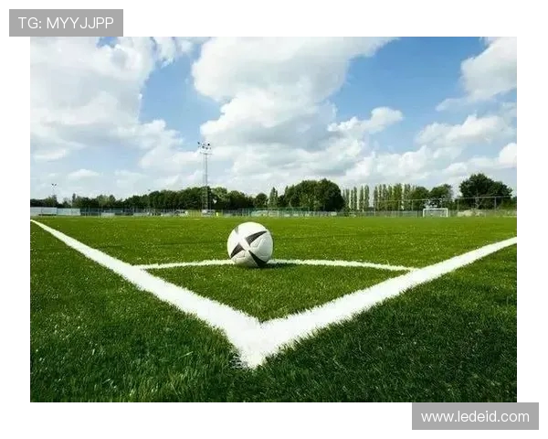 杨晨：从绿茵场到赛场边缘的传奇之路与人生转型探索